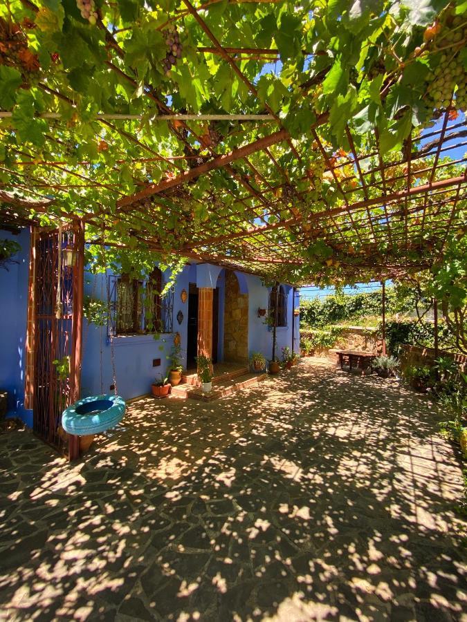 Villa Authentique Avec Vue Panoramique A 3 Km De Chefchaouen Bagian luar foto
